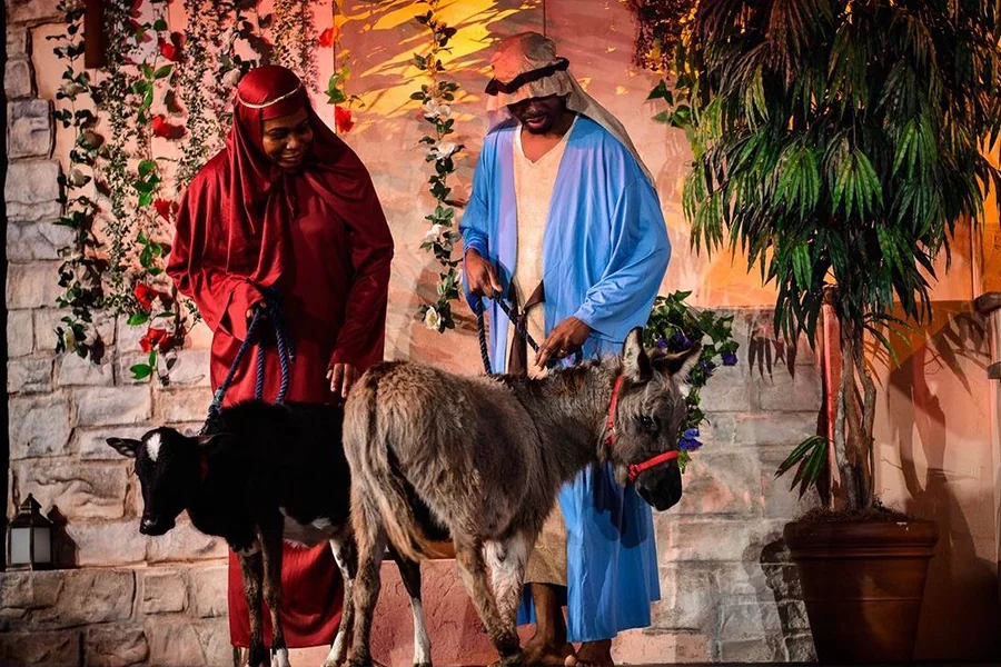 Performers in biblical costumes beside a live donkey on stage